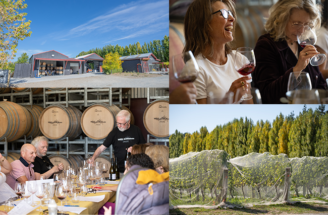 25 May 2024 - An Afternoon in Alexandra - With Wild Irishman Wines