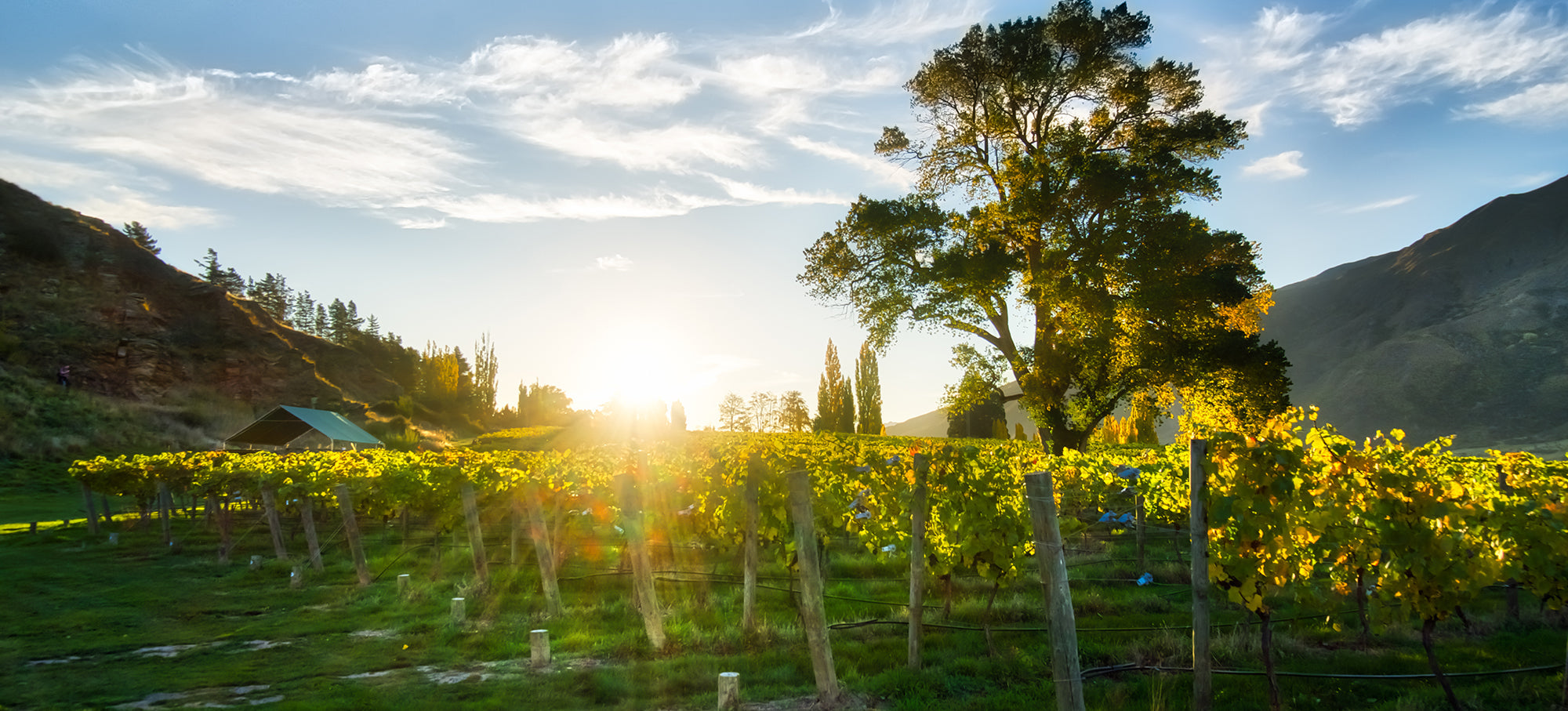 GIFTING WINE CLUB MEMBERSHIP