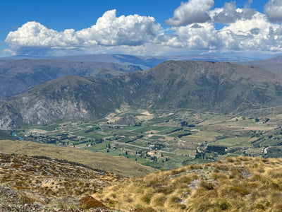 Terroir of Gibbston Wines | Tour Through Central Otago Subregions