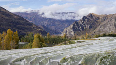 How to get to Gibbston, Queenstown's Wine Country