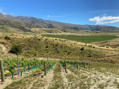 Terroir of Pisa Wines | Tour Through Central Otago Subregions