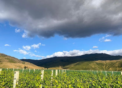 Terroir of Bannockburn Wines | Tour Through Central Otago Subregions