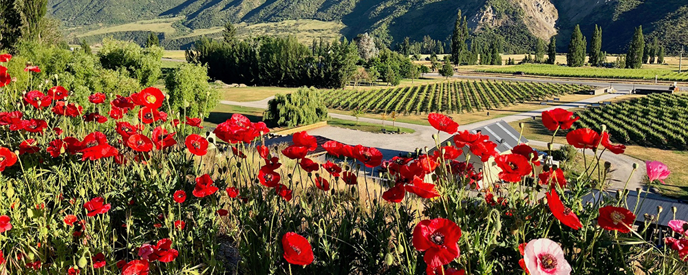 WSET Level 3 - 30 September - 4 October 2024