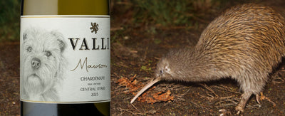 Valli's First Central Otago Chardonnay, that helps save the Kiwi!