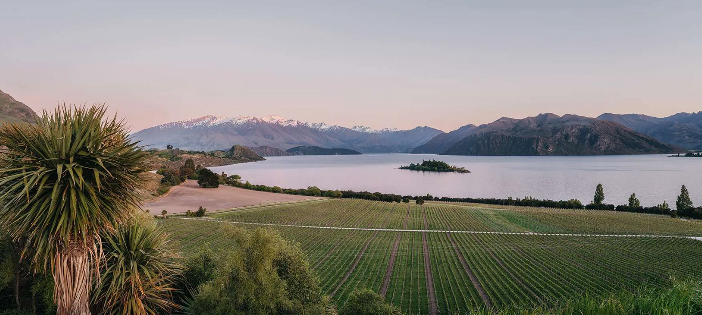 Rippon Vineyard in Wanaka 