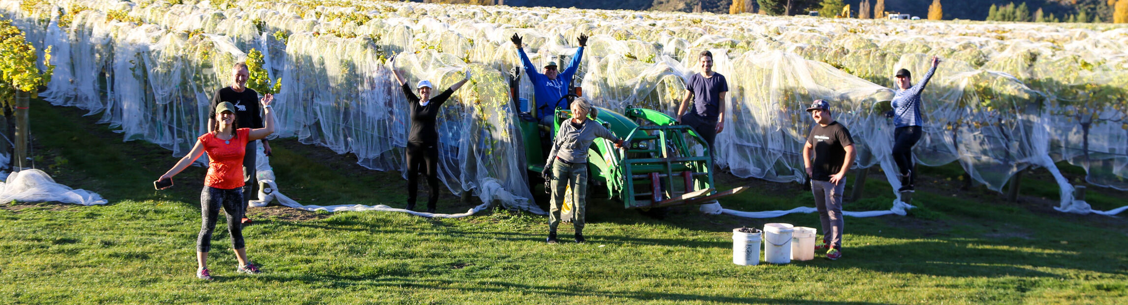 Women behind the wine - Celebrating International Women's Day 2021